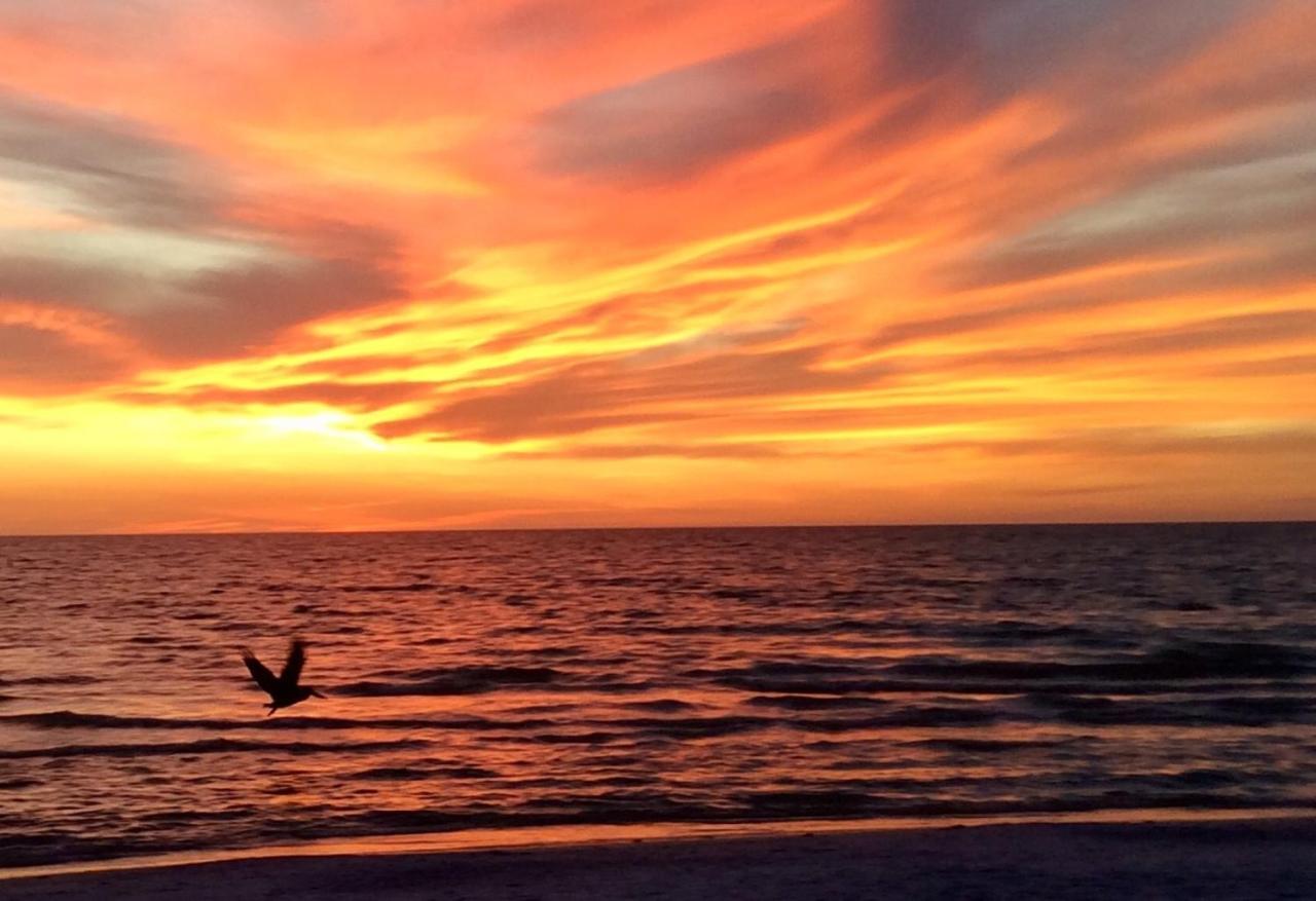 Carousel Beach Inn Fort Myers Beach Eksteriør billede